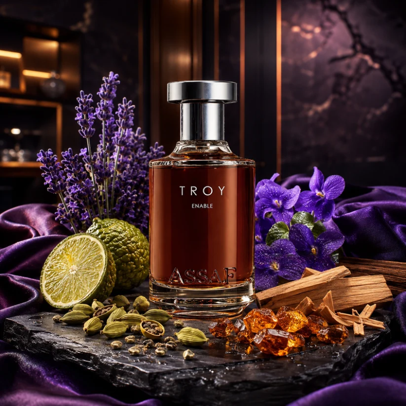 TROY ENABLE 100ml Eau de Parfum By ASSAF